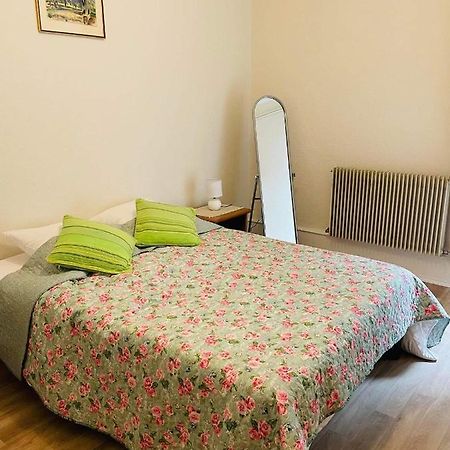Appartement Cosy Колмар Екстериор снимка