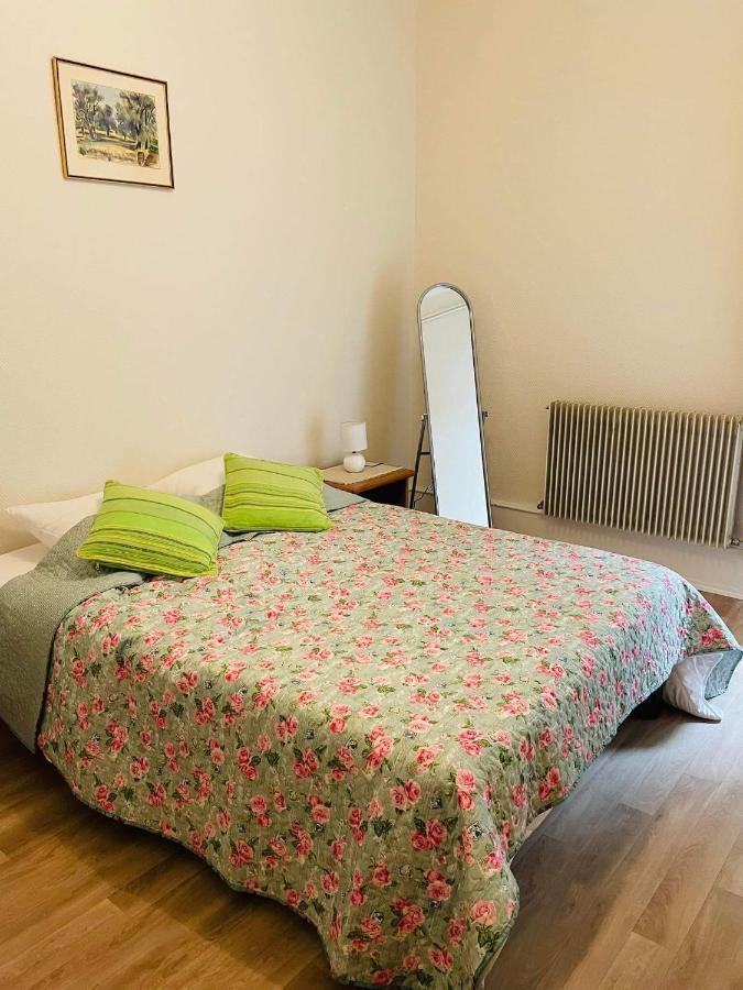 Appartement Cosy Колмар Екстериор снимка
